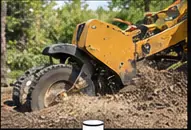 RCR Ltd Stump Grinding